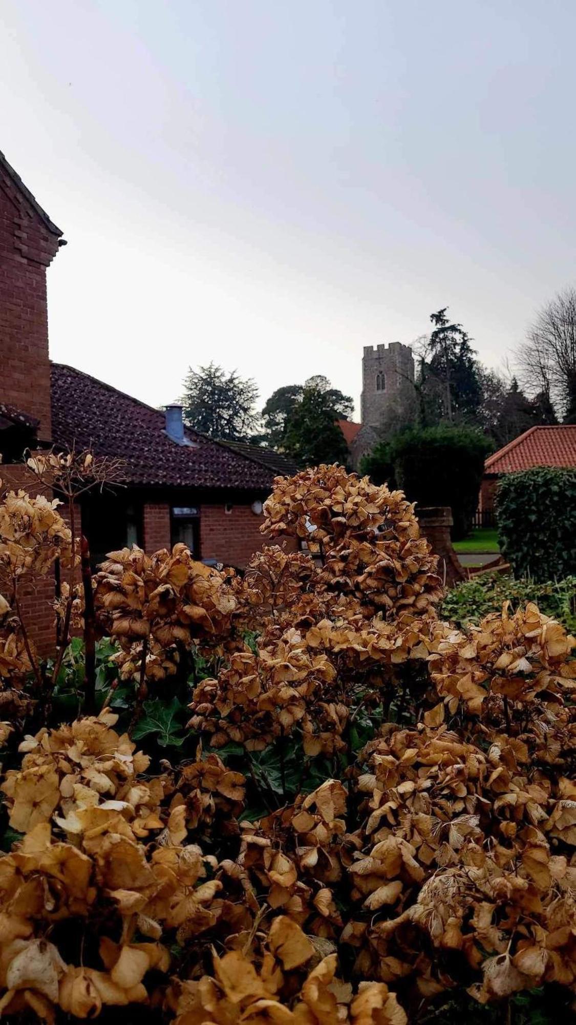 Church Farm Guest House Horsford Bagian luar foto